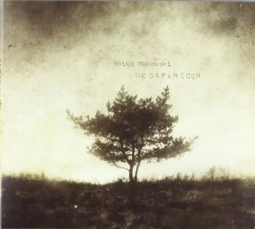 Cover of Desaparecer